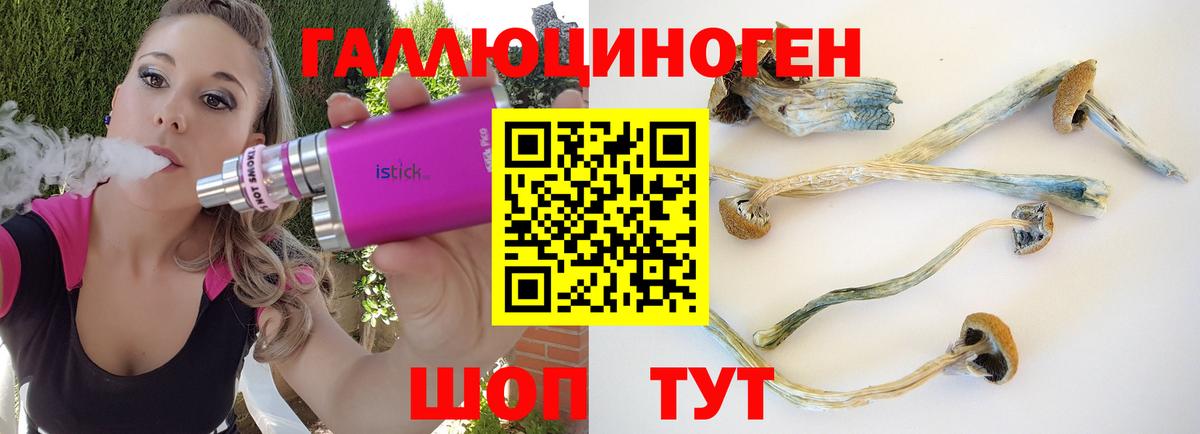Галлюциногенные грибы MAGIC MUSHROOMS  Вход с VPN  Псилоцибиновые грибы Psilocybe  сколько стоит  Канаш 